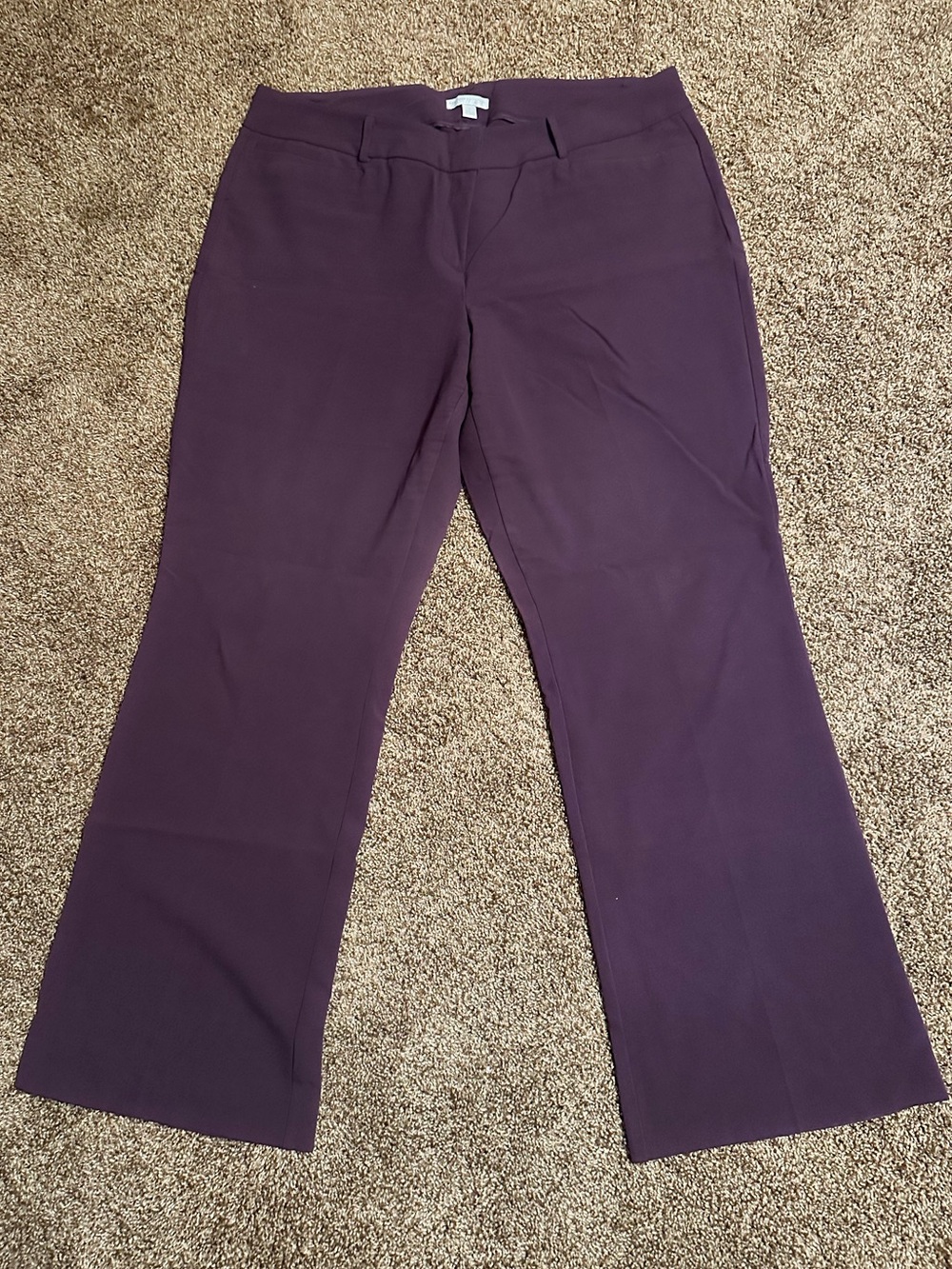New York & Company Plum Boot Cut Dress Pants size 18